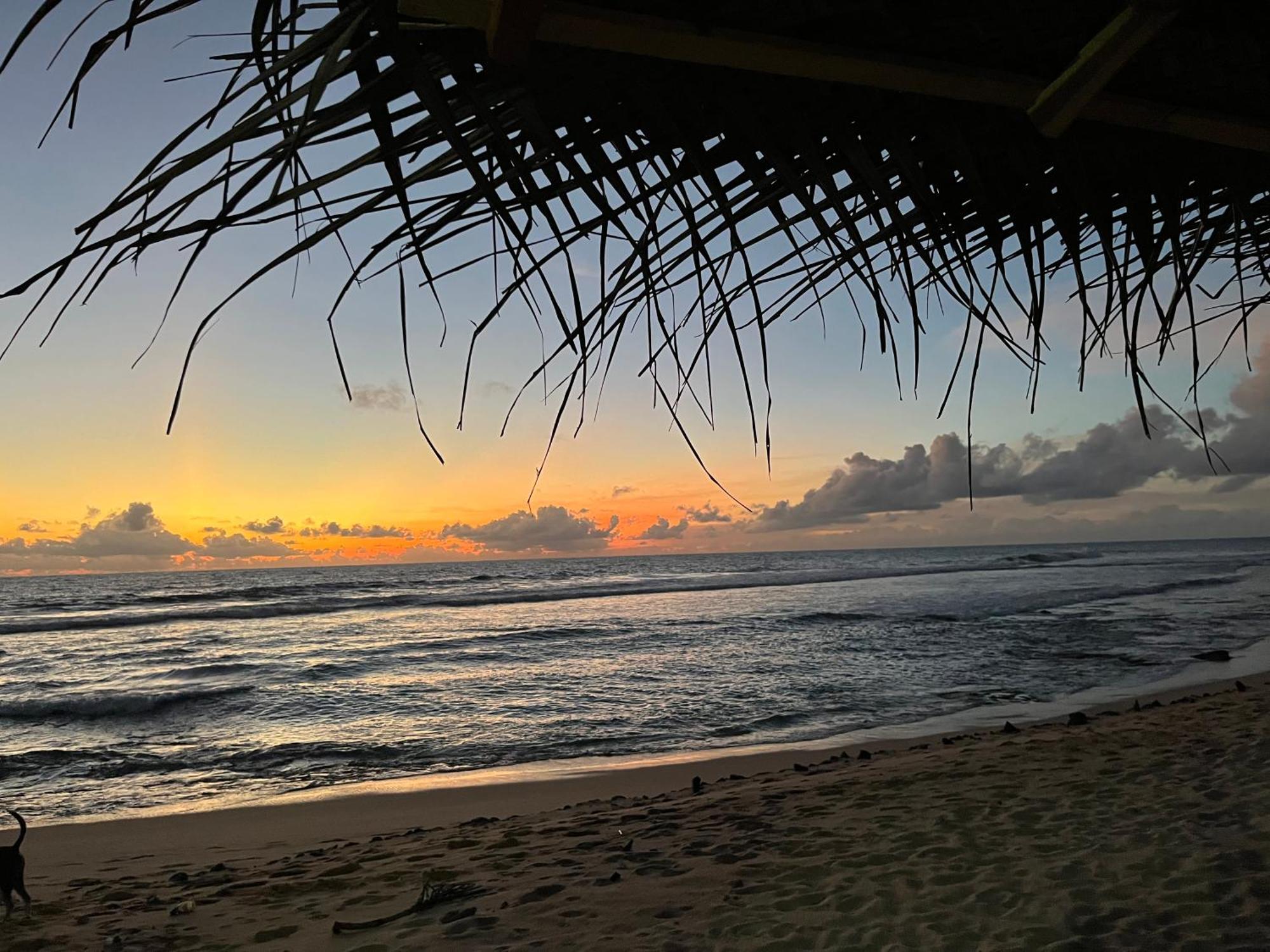 Ocean Reef Hotel Hikkaduwa Bagian luar foto